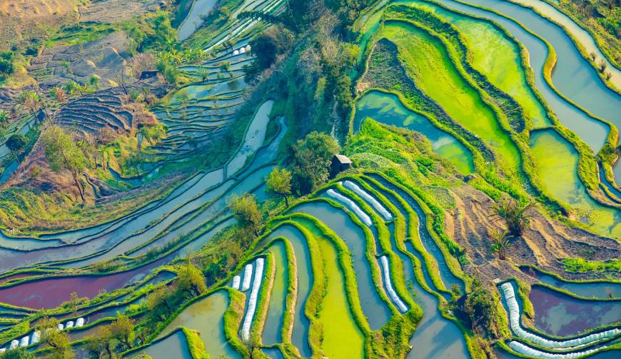 宝妈必备神器：雷州市产品视频拍摄轻松育儿好帮手