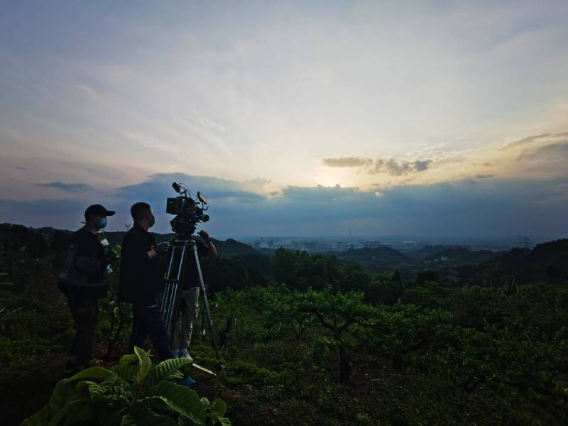 聚焦雷州市产品宣传视频拍摄公司，用专业实力铸就品牌传播传奇