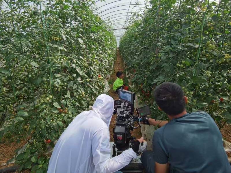 雷州市产品宣传视频拍摄公司进阶指南，助力品牌抢占传播高地